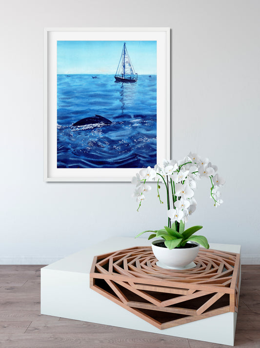 Cape Cod Dolphin