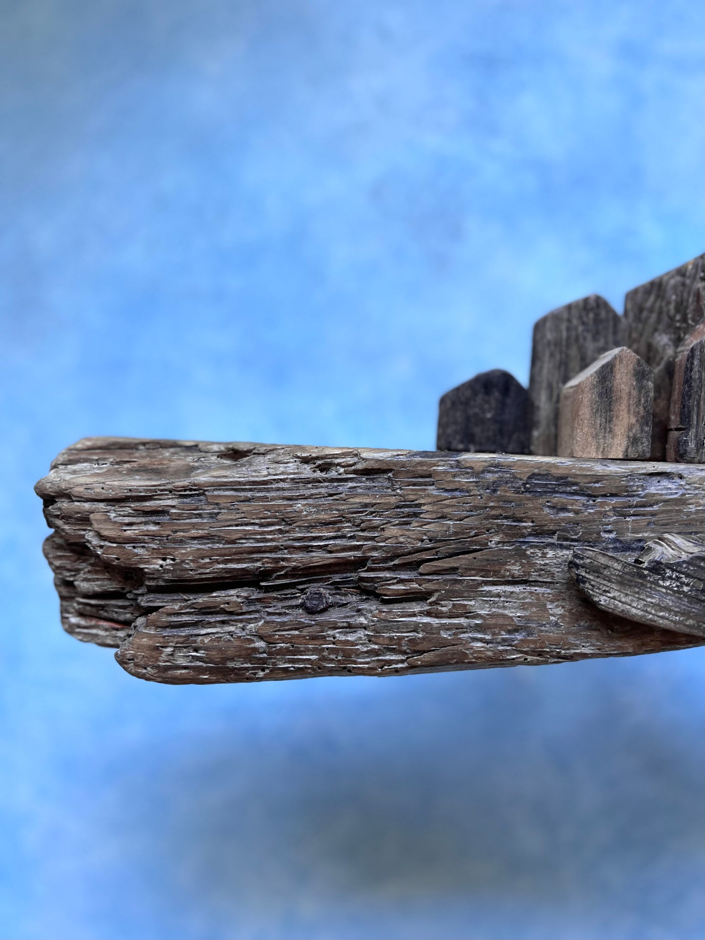 Rustic Whale