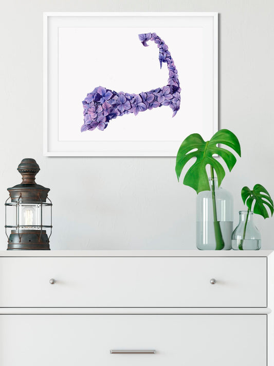 Hydrangeas Cape Cod