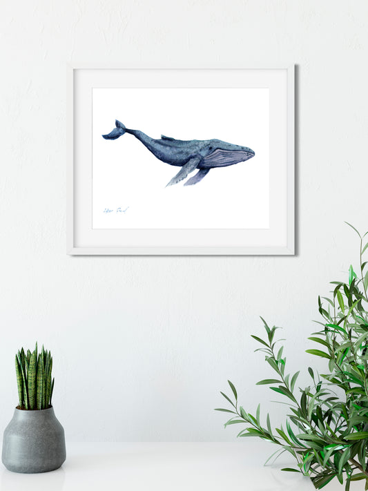 Whale