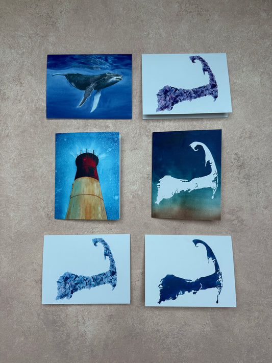 Set of 6 Cape Cod cards - one of each design