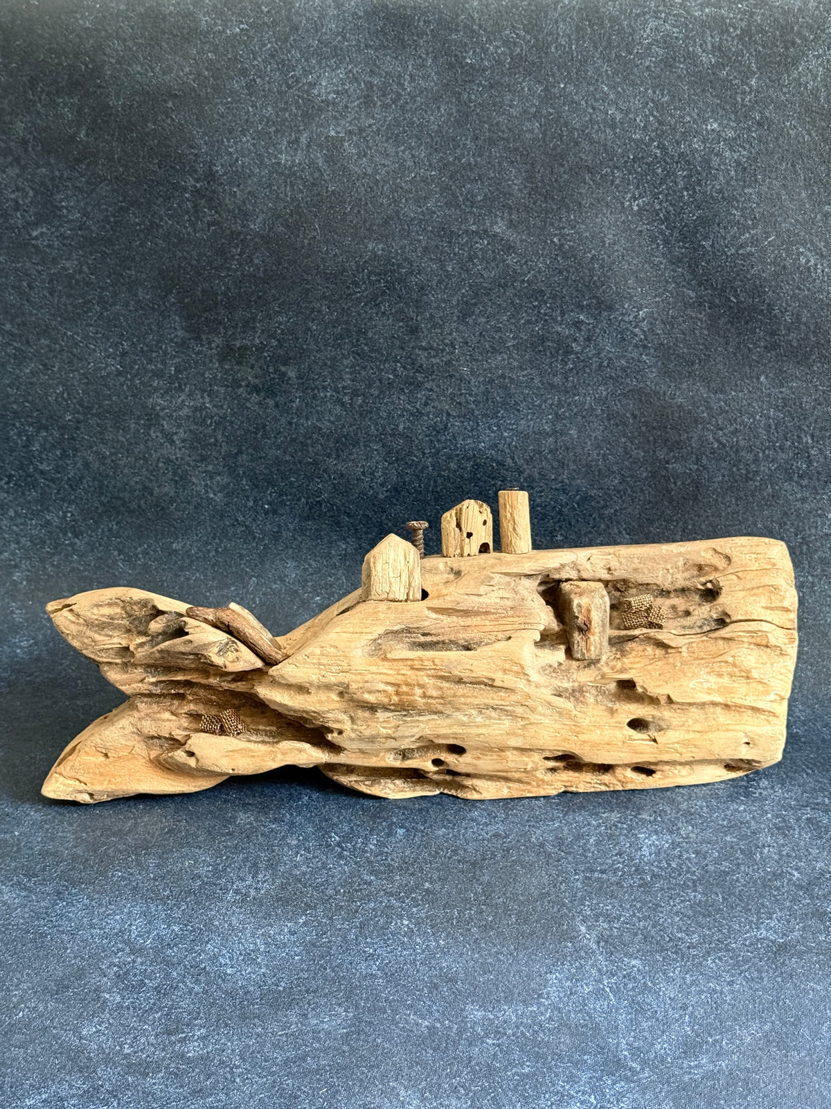 Coastal Village Whale