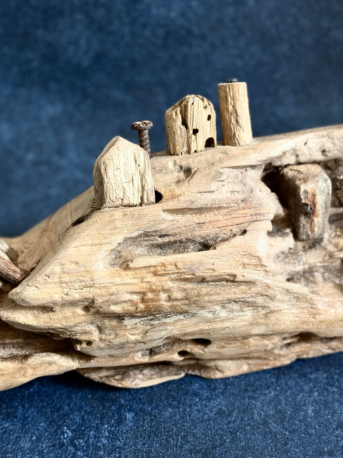 Coastal Village Whale