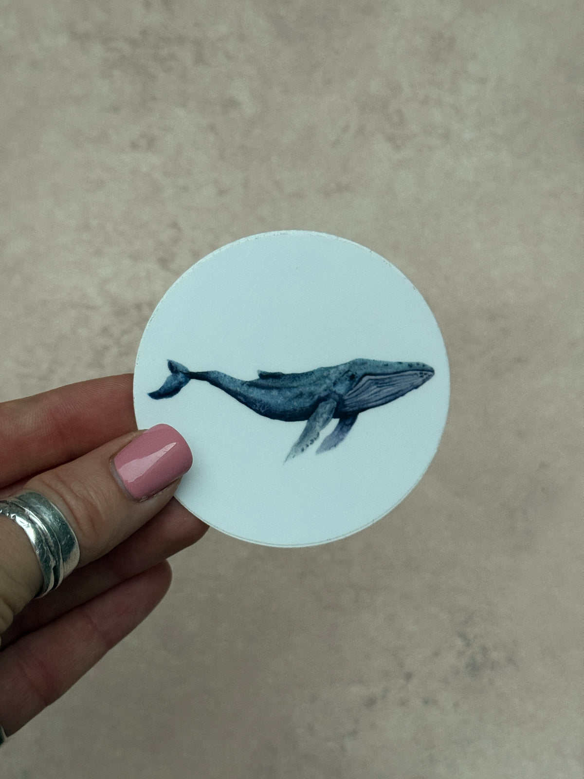 Whale Sticker