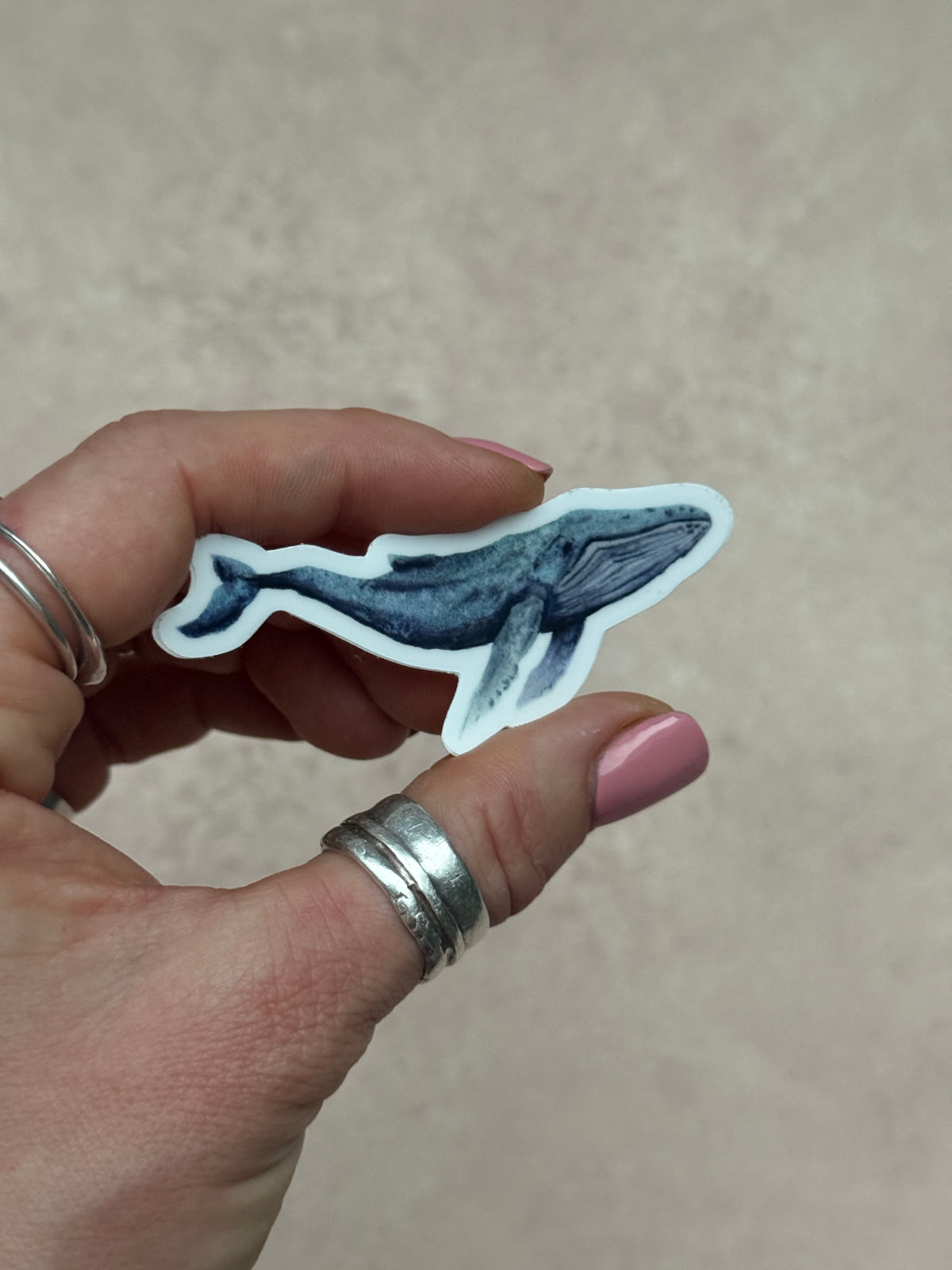 Whale Die cut Sticker