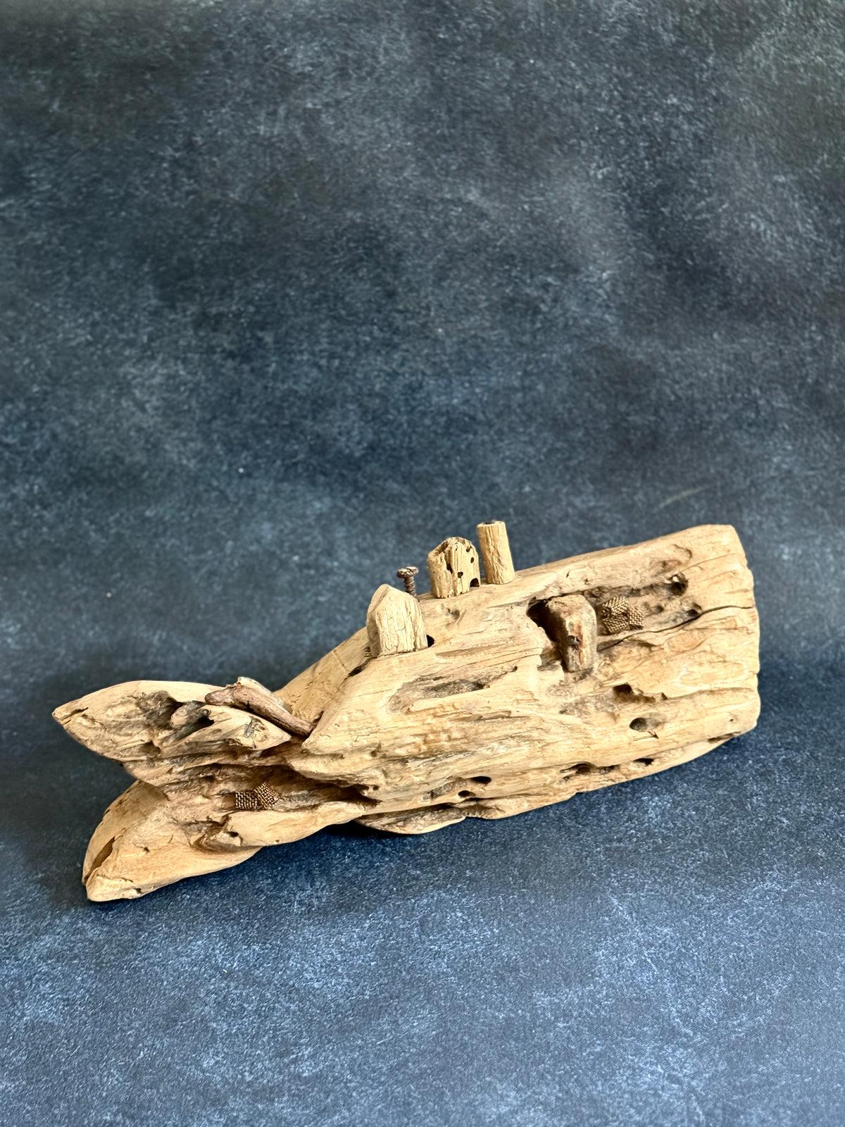 Coastal Village Whale