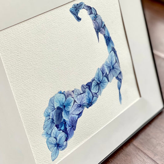 Cape Cod Hydrangeas Blue