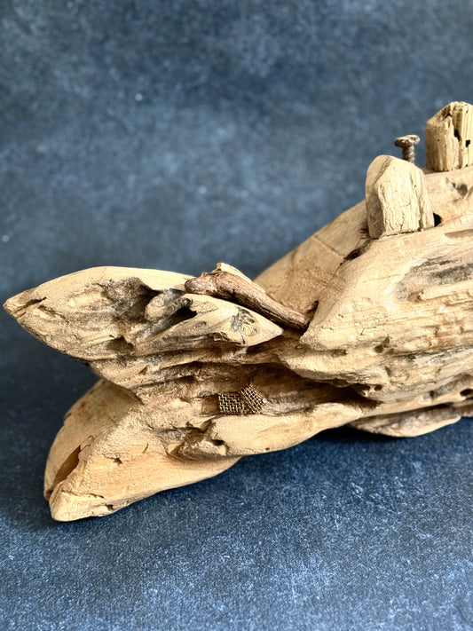 Coastal Village Whale