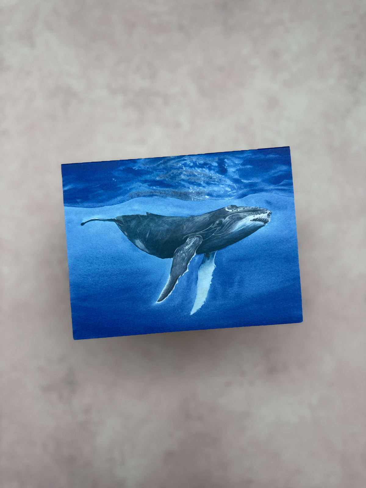 Underwater Whale card